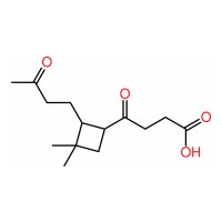 Kwas β-norkaryofilowy