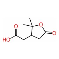 Kwas terpenylowy